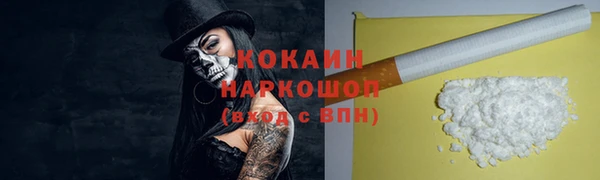 соль ск Алексин