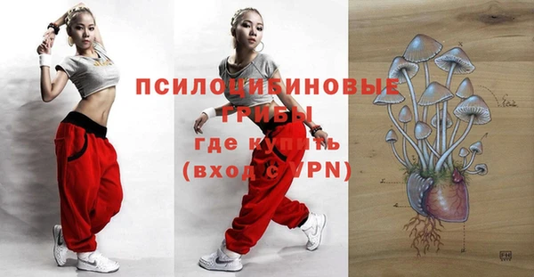 прущая мука Абаза