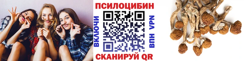 Галлюциногенные грибы MAGIC MUSHROOMS  где найти   Котово 
